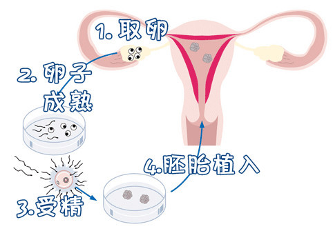 方鉴生殖医学中心 · 门诊环境